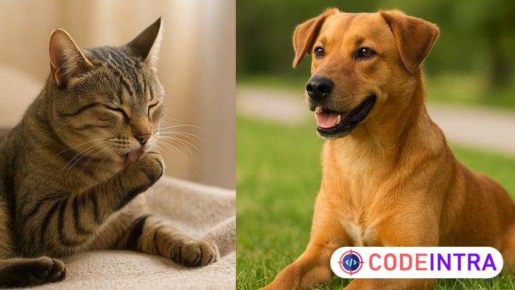 Dog & Cat Care Masterclass: Health, Behavior & Emergency Car