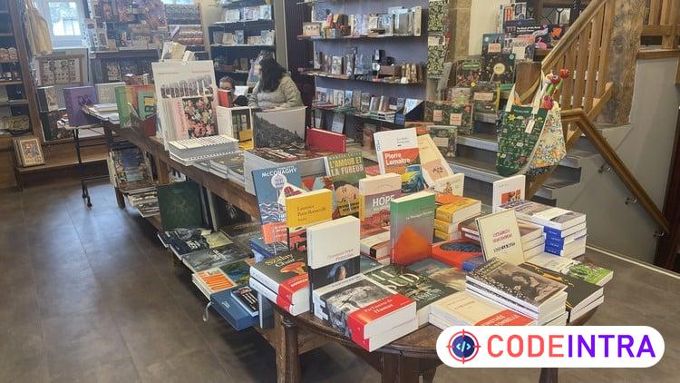 Get a Book Agent: The Traditional Publishing Masterclass - Codeintra