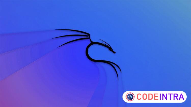 Ethical Hacking: Metasploit, NMAP, Kali, Python 3 y más