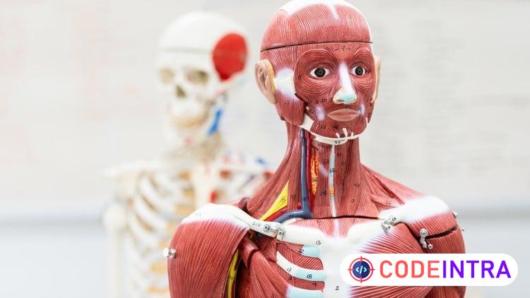 Human Anatomy for Medical Coding, Billing & Healthcare RCM