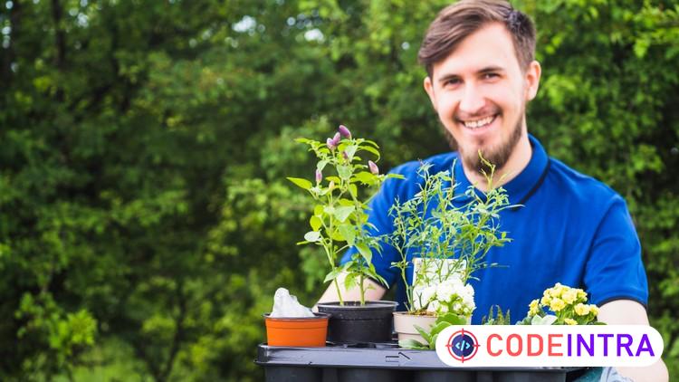 Hydroponics & Horticulture: Modern Farming Techniques 101