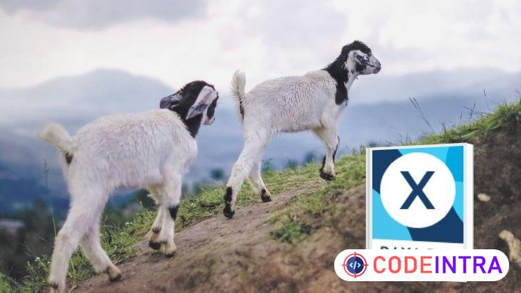 Learning Pixlr X from Scratch - Codeintra