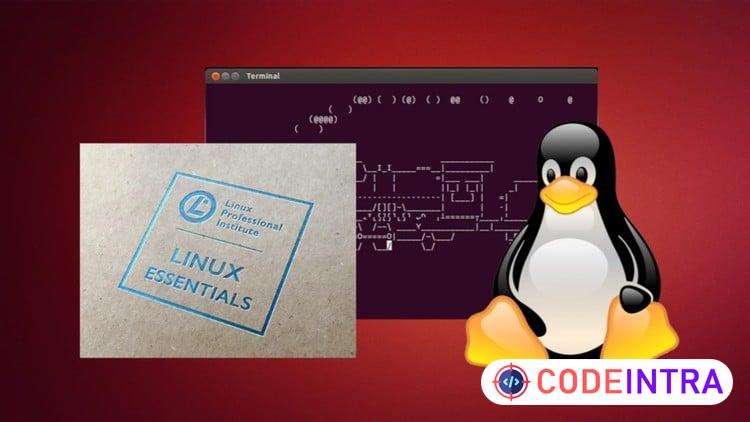 Linux с нуля до сертификата