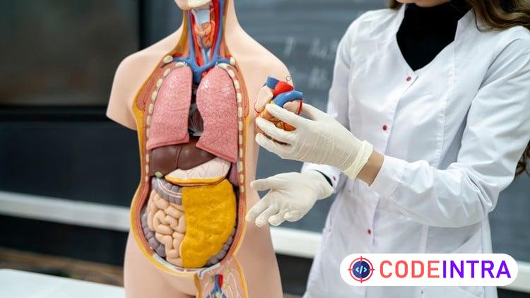 Medical Coding Part 2: CPT Coding & Medical Billing Basics - Codeintra
