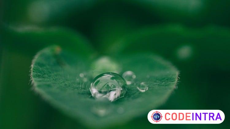 Mindfulness and Meditation Certification Training Course - Codeintra