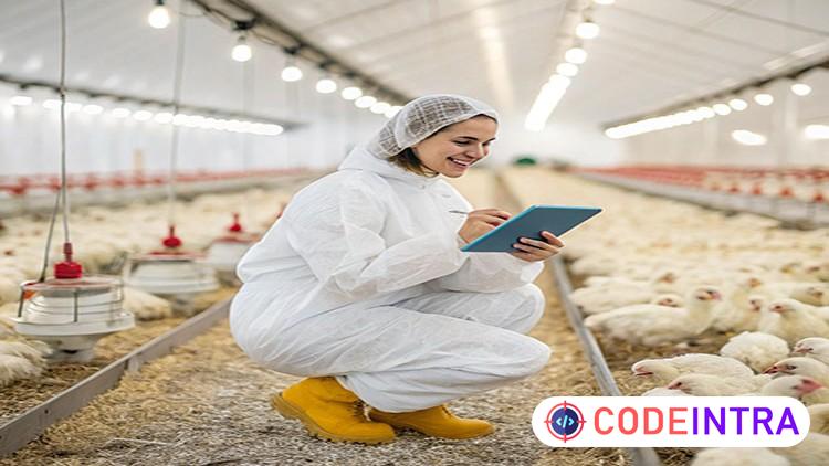 Broiler Farming: Start & Run a Profitable Poultry Business