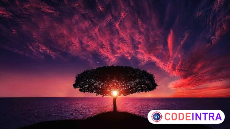 Complete Photography Masterclass: Beginner to Expert - Codeintra