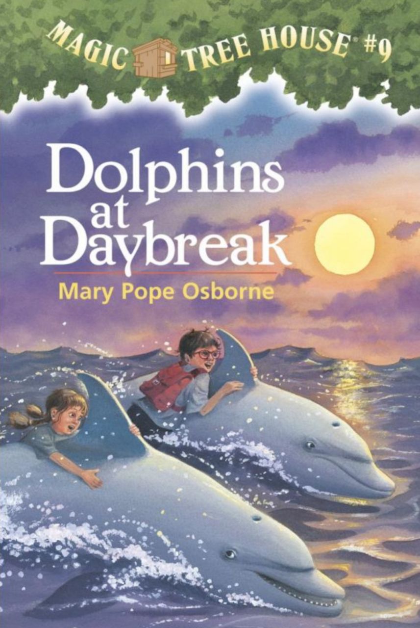 Dolphins at Daybreak - An Ocean Adventure