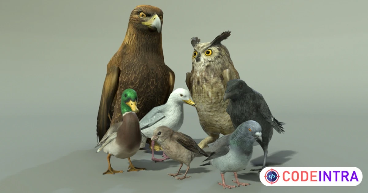BIRDS PACK | Characters | Unity Assets - Codeintra