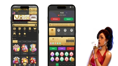 Big Daddy Game Source Code With Admin Panel And Full Setup