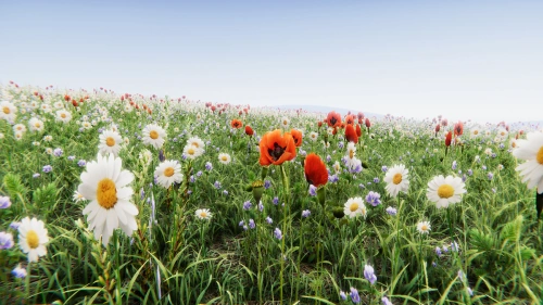 Realistic Grass Flowers Pack | 2D Nature | Unity Assets