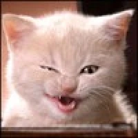 Seller Profile Background Image - Anton Skryagin