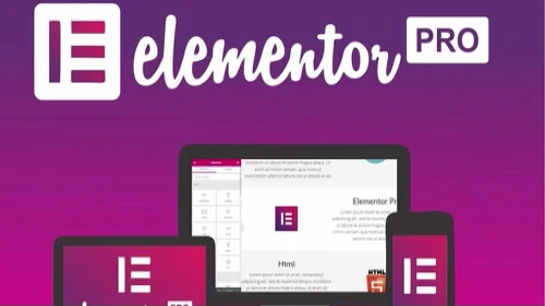 Elementor Pro | WordPress Websites Builder [Premium] v3