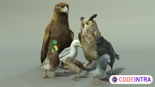 BIRDS PACK | Characters | Unity Assets